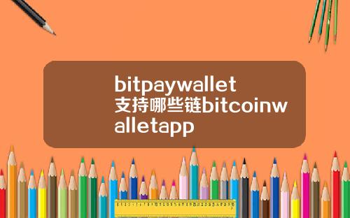 bitpaywallet支持哪些链bitcoinwalletapp