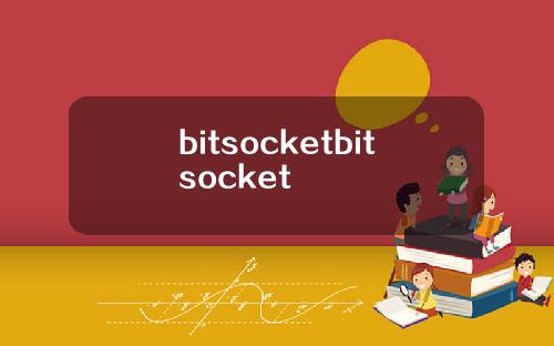 bitsocketbitsocket