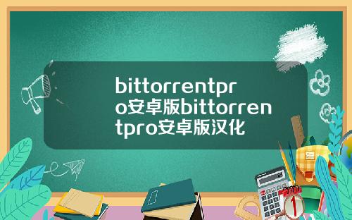 bittorrentpro安卓版bittorrentpro安卓版汉化