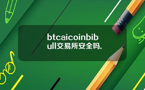 btcaicoinbibull交易所安全吗.