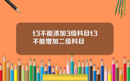 t3不能添加3级科目t3不能增加二级科目