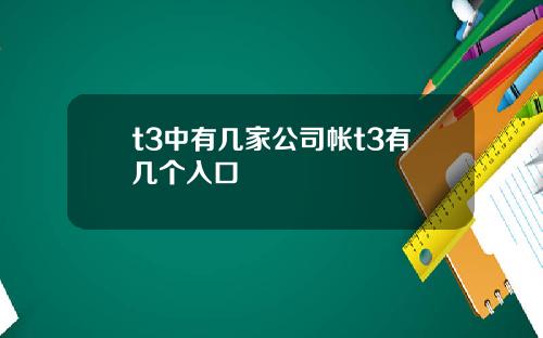 t3中有几家公司帐t3有几个入口