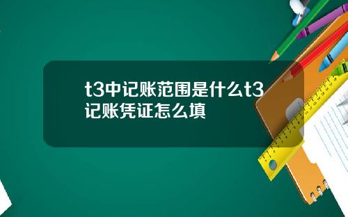 t3中记账范围是什么t3记账凭证怎么填