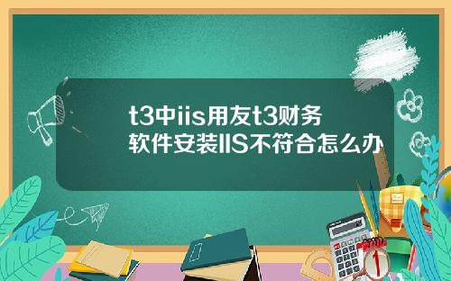 t3中iis用友t3财务软件安装IIS不符合怎么办