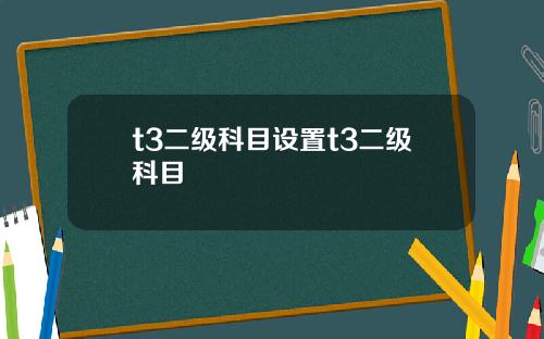 t3二级科目设置t3二级科目