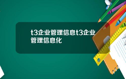 t3企业管理信息t3企业管理信息化