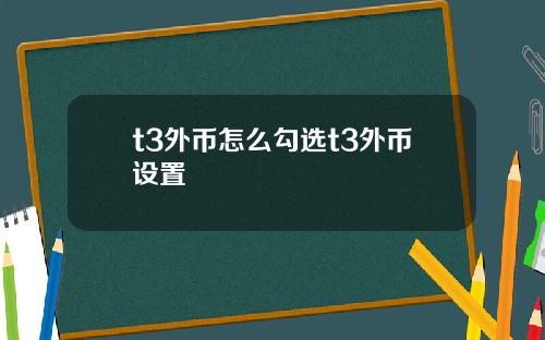 t3外币怎么勾选t3外币设置