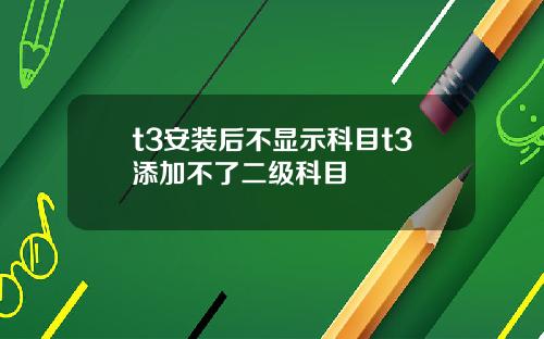 t3安装后不显示科目t3添加不了二级科目