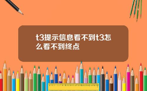 t3提示信息看不到t3怎么看不到终点