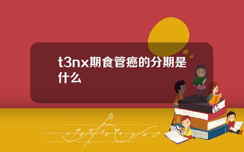 t3nx期食管癌的分期是什么