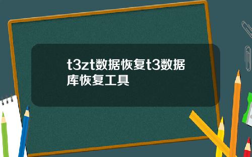 t3zt数据恢复t3数据库恢复工具