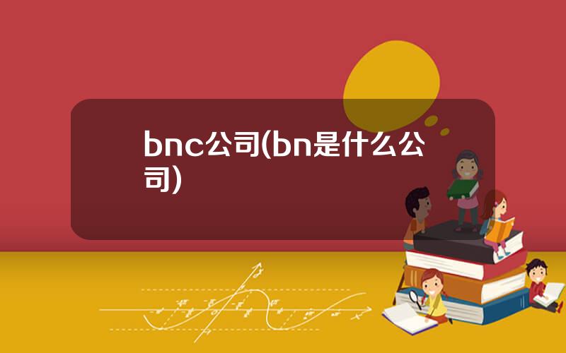 bnc公司(bn是什么公司)