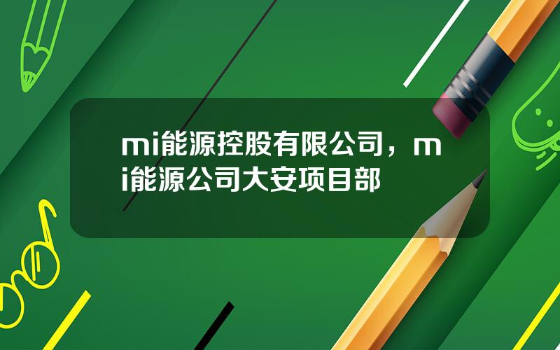 mi能源控股有限公司，mi能源公司大安项目部