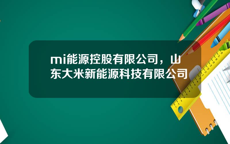 mi能源控股有限公司，山东大米新能源科技有限公司