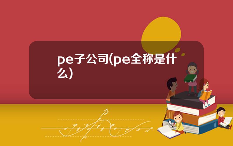 pe子公司(pe全称是什么)