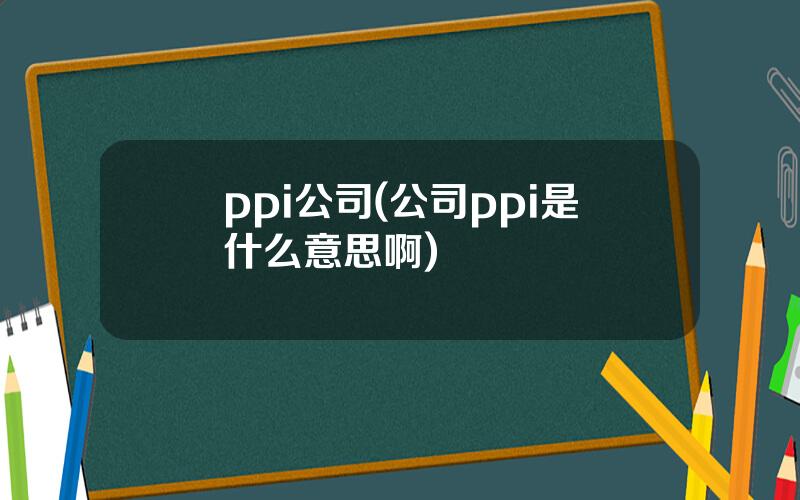 ppi公司(公司ppi是什么意思啊)