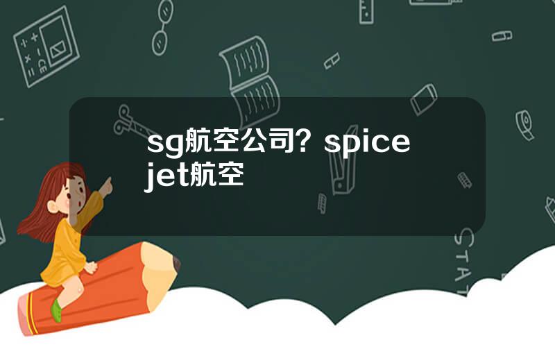 sg航空公司？spicejet航空