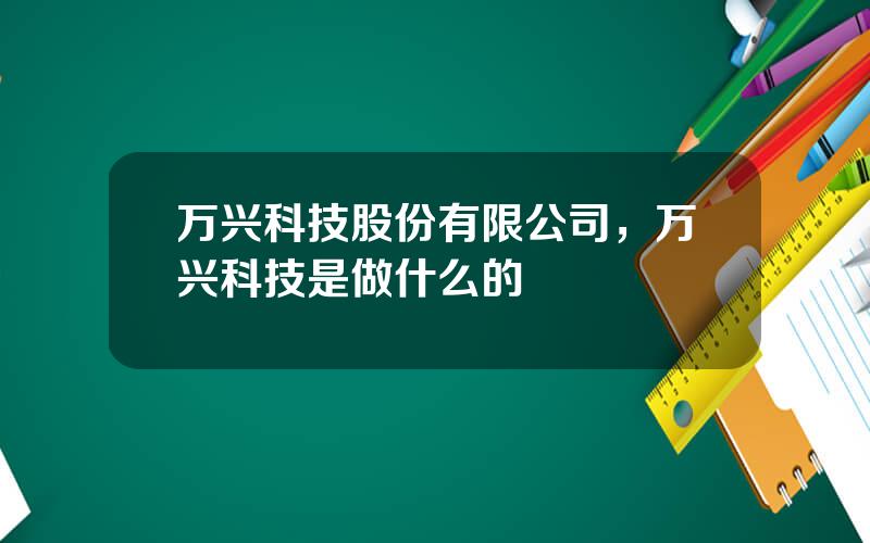 万兴科技股份有限公司，万兴科技是做什么的