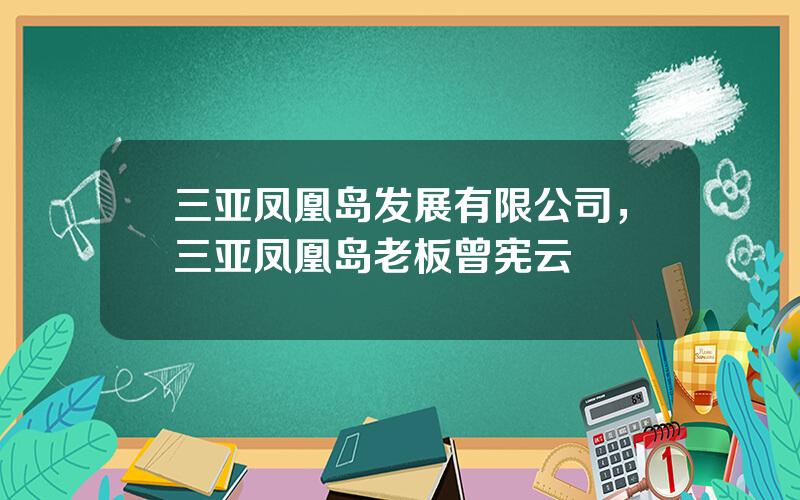 三亚凤凰岛发展有限公司，三亚凤凰岛老板曾宪云