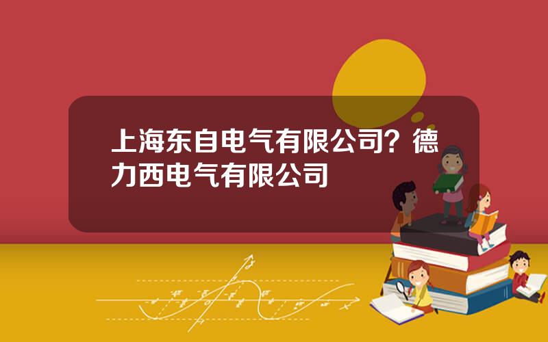 上海东自电气有限公司？德力西电气有限公司