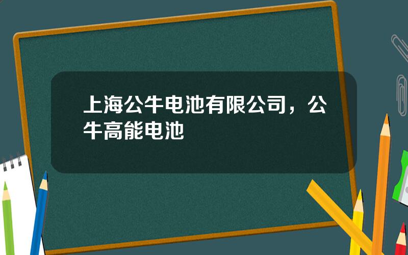 上海公牛电池有限公司，公牛高能电池