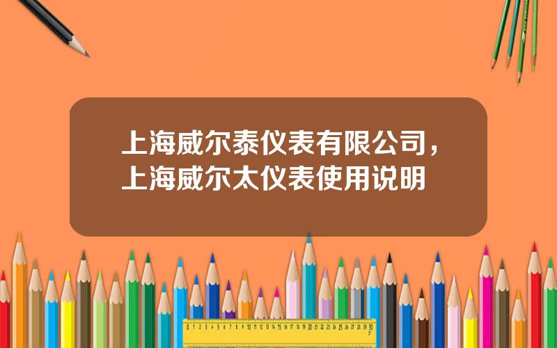 上海威尔泰仪表有限公司，上海威尔太仪表使用说明