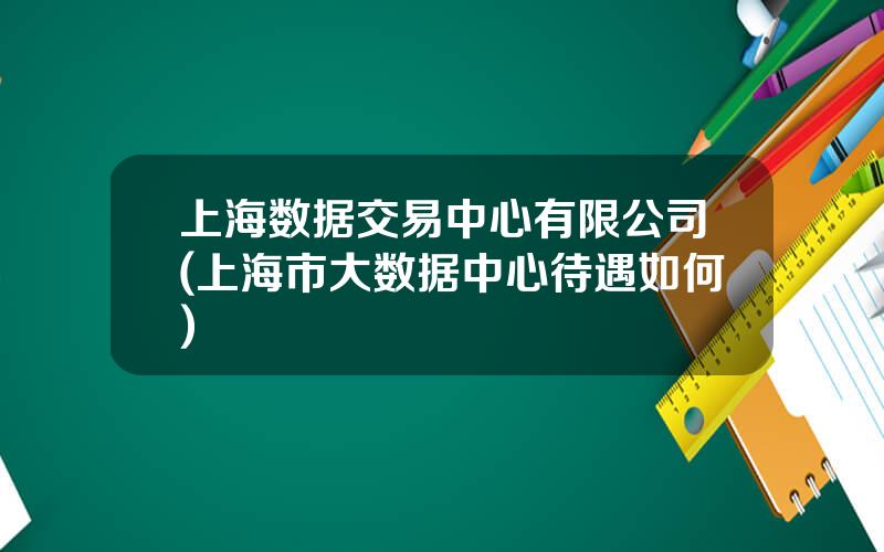 上海数据交易中心有限公司(上海市大数据中心待遇如何)