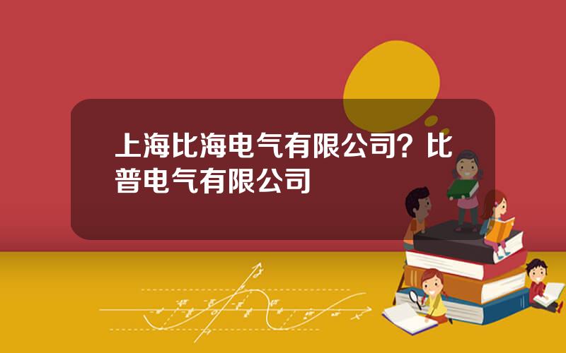 上海比海电气有限公司？比普电气有限公司