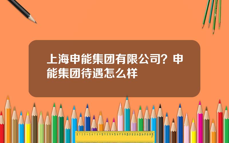 上海申能集团有限公司？申能集团待遇怎么样