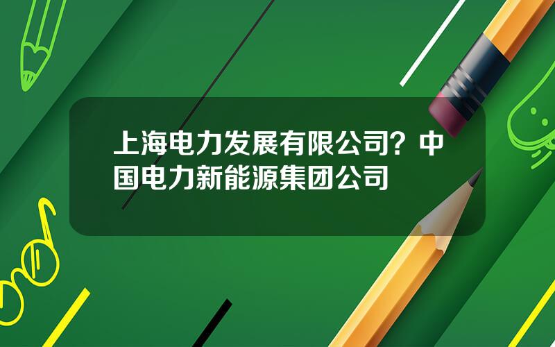 上海电力发展有限公司？中国电力新能源集团公司