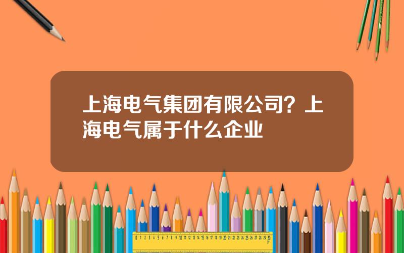 上海电气集团有限公司？上海电气属于什么企业