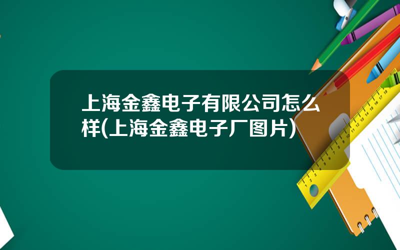 上海金鑫电子有限公司怎么样(上海金鑫电子厂图片)