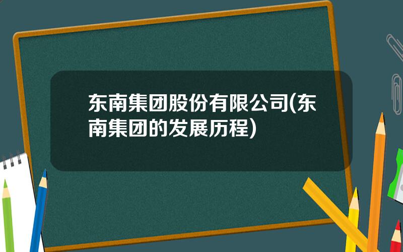 东南集团股份有限公司(东南集团的发展历程)