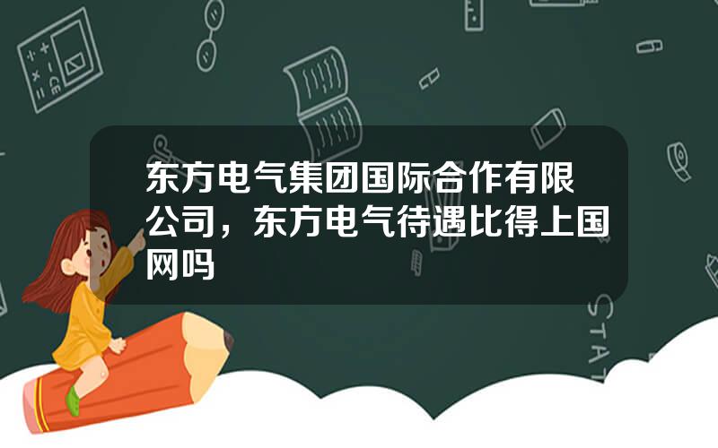 东方电气集团国际合作有限公司，东方电气待遇比得上国网吗