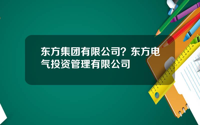 东方集团有限公司？东方电气投资管理有限公司