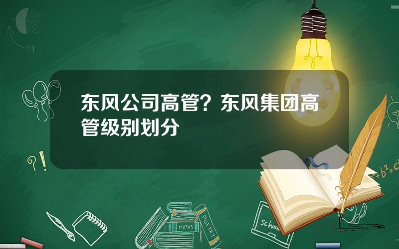 东风公司高管？东风集团高管级别划分