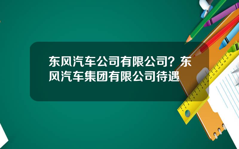 东风汽车公司有限公司？东风汽车集团有限公司待遇