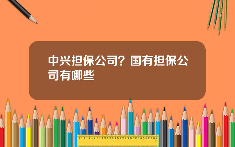 中兴担保公司？国有担保公司有哪些