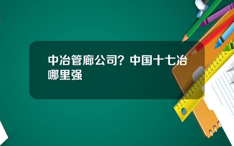 中冶管廊公司？中国十七冶哪里强