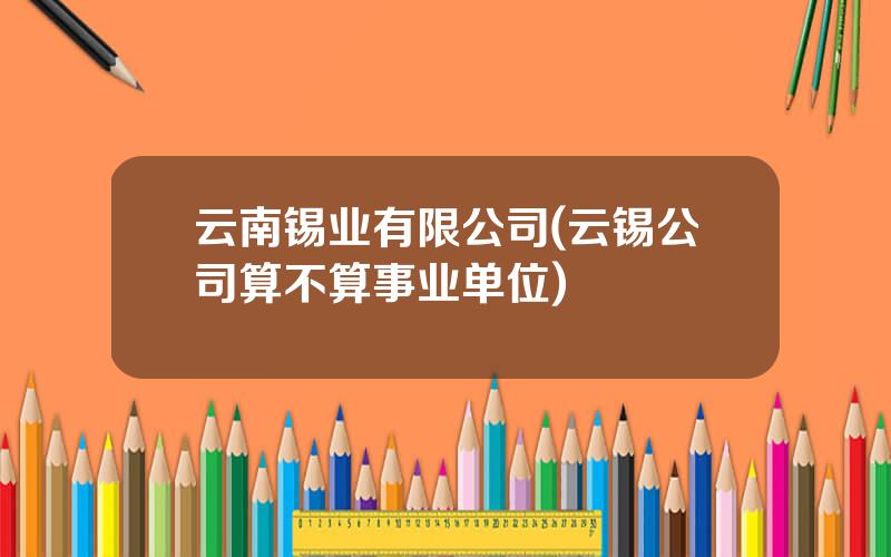 云南锡业有限公司(云锡公司算不算事业单位)