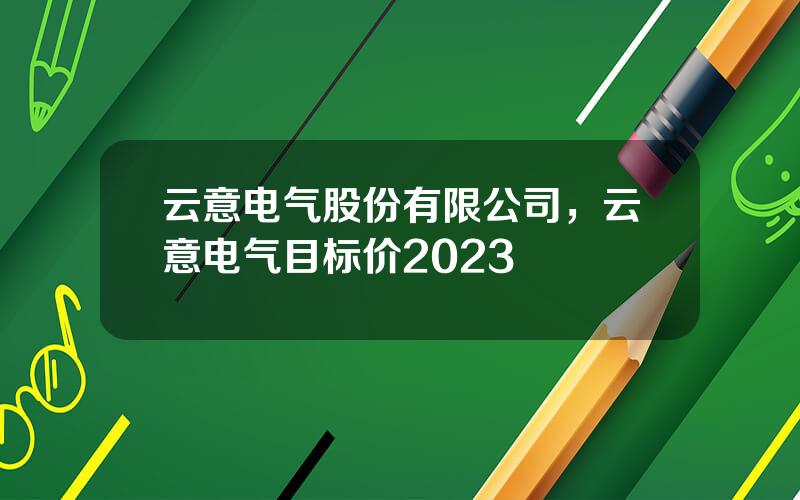 云意电气股份有限公司，云意电气目标价2023