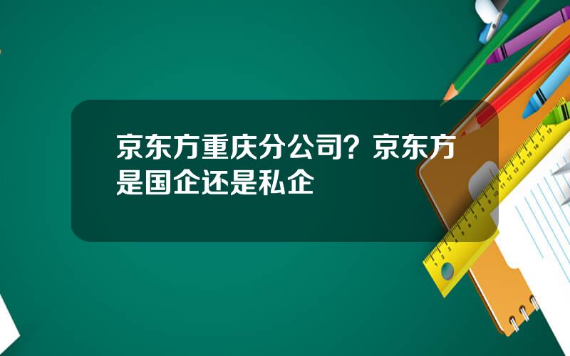 京东方重庆分公司？京东方是国企还是私企