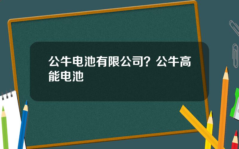 公牛电池有限公司？公牛高能电池