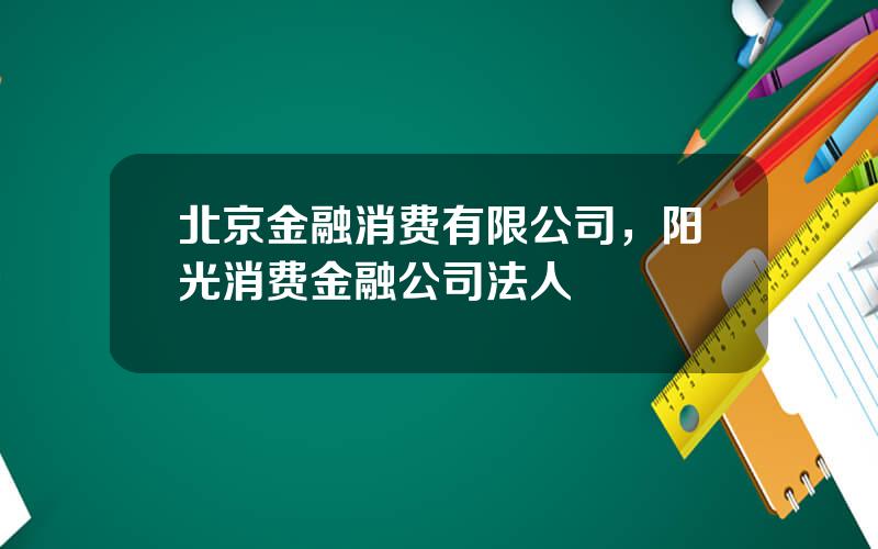 北京金融消费有限公司，阳光消费金融公司法人