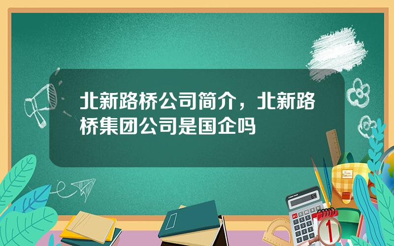 北新路桥公司简介，北新路桥集团公司是国企吗