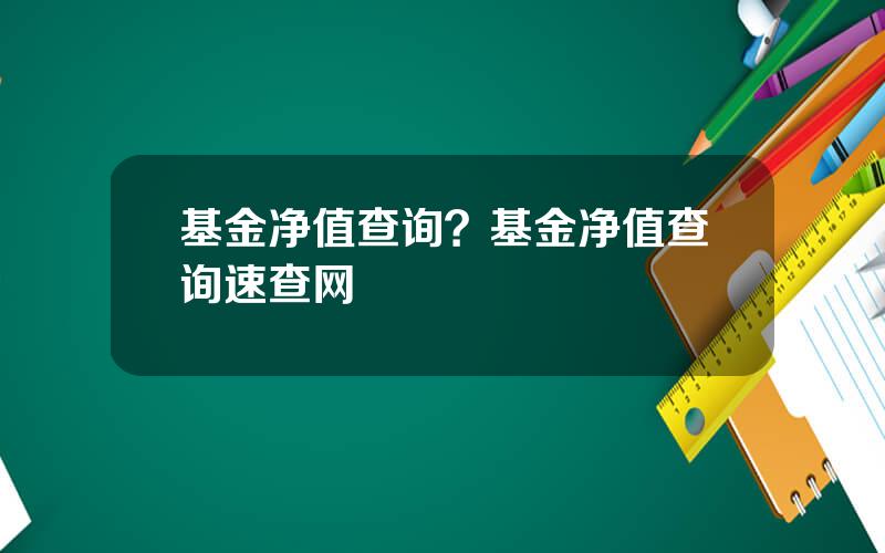 基金净值查询？基金净值查询速查网