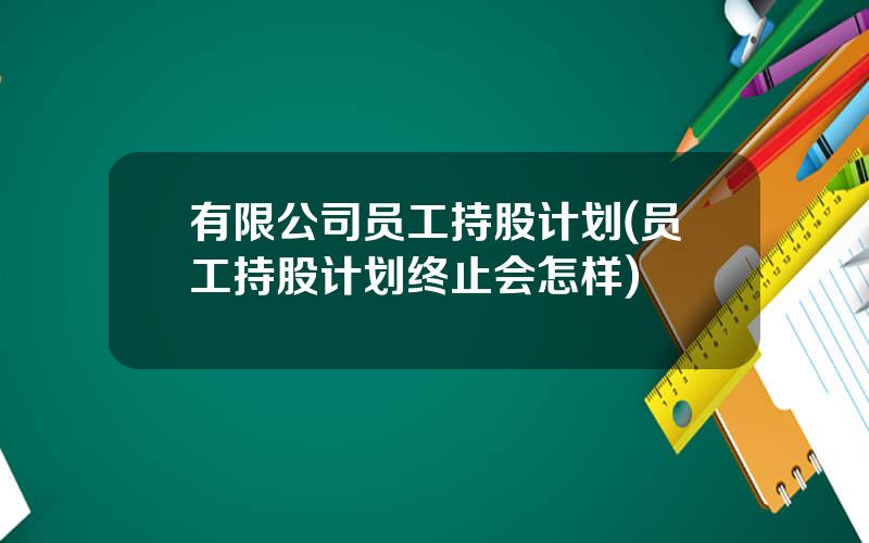 有限公司员工持股计划(员工持股计划终止会怎样)