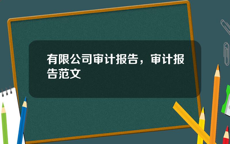 有限公司审计报告，审计报告范文