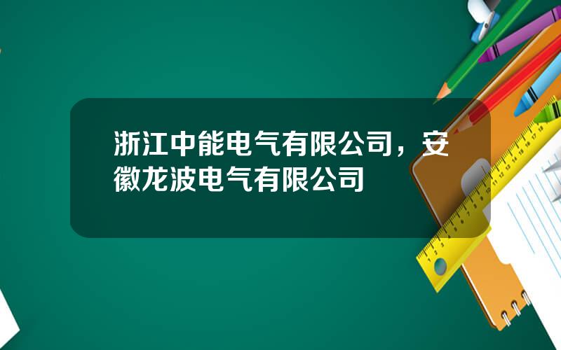 浙江中能电气有限公司，安徽龙波电气有限公司