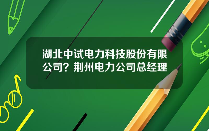 湖北中试电力科技股份有限公司？荆州电力公司总经理